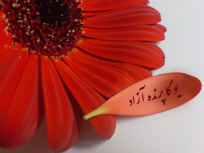توکل ♥ سکوت و آرامش ♥ نیایش ♥ شکرگزاری ♥ احساس حضور دائمی خداوند ♥ در پناه حق ♥ امید ♥ نیات سالم ♥ آفرینش ذهن ♥ آگاهی ♥ رزق و روزی فراوان ♥ حضور خانواده ♥ تولد دوباره ♥ سلامتی ♥ توانگری ♥ اراده خداوند ♥ ارحم الراحمین ♥ التماس دعا ♥ یوگا پرنده آزاد کرج ♥ سیمین صدیق ابراهیم نیا ♥   