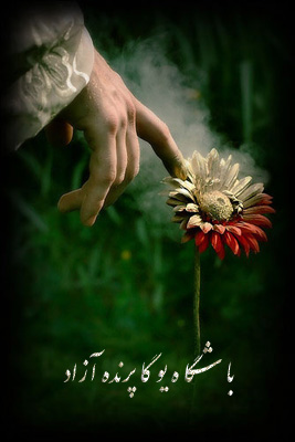 قضاوت ♥ طبقه بندی ♥ تجزیه تحلیل ♥ حرافی نفس ♥ ذهن تحلیل گر ♥ رشد و تعالي ♥ آرامش و احساس حضور خداوند ♥ باشگاه یوگا پرنده آزاد کرج ♥