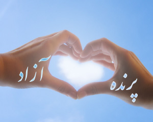 استان البرز باشگاه تخصصی یوگا پرنده آزاد کرج : قرآن کریم ، سوره يوسف ، مولانا ، بازگشت به اصل خويش ، احساس شکوه حضور خداوند ، زندگي در آرامش و شادی . . .        