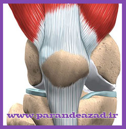 ,باشگاه یوگا,چاکرادرمانی,یوگادرمانی,یوگا,آموزش یوگا در کرج, کلاس یوگا در کرج, باشگاه یوگا در کرج, یوگا, یوگاکرج, یوگا کرج ,یوگا در کرج, یوگا عظیمیه, باشگاه یوگا, مدیتیشن, مراقبه, یوگا برای بانوان, یوگا البرز,yoga, Meditation, یوگا استان البرز, یوگای بانوان کرج, یوگاالبرز, یوگا در البرز, ریلکسیشن, تنفس درمانی, آرامش درمانی , باشگاه یوگا کرج, یوگاعظیمیه, یوگا عظیمیه, یوگامهرشهر, یوگا مهرشهر, یوگا گوهردشت, یوگاگوهردشت, یوگا البرز, یوگا, کلاس یوگا, یاشگاه بانوان, یوگای تخصصی کرج, باشگاه یوگاکرج, یوگای خوب, یوگا البرز, باشگاه برتر کرج, باشگاه برگزیده البرز, مرکز یوگای استان البرز,یوگا, کلاس یوگا, یاشگاه بانوان,راه یوگا,سیمین صدیق ابراهیم نیا,پرنده آزاد یوگا,