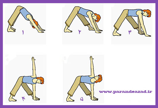 ,تریکون آسانا,Utthita Trikonasana,وضعیت مثلث ساده,باشگاه یوگا,چاکرادرمانی,یوگادرمانی,یوگا,آموزش یوگا در کرج, کلاس یوگا در کرج, باشگاه یوگا در کرج, یوگا, یوگاکرج, یوگا کرج ,یوگا در کرج, یوگا عظیمیه, باشگاه یوگا, مدیتیشن, مراقبه, یوگا برای بانوان, یوگا البرز,yoga, Meditation, یوگا استان البرز, یوگای بانوان کرج, یوگاالبرز, یوگا در البرز, ریلکسیشن, تنفس درمانی, آرامش درمانی , باشگاه یوگا کرج, یوگاعظیمیه, یوگا عظیمیه, یوگامهرشهر, یوگا مهرشهر, یوگا گوهردشت, یوگاگوهردشت, یوگا البرز, یوگا, کلاس یوگا, یاشگاه بانوان, یوگای تخصصی کرج, باشگاه یوگاکرج, یوگای خوب, یوگا البرز, باشگاه برتر کرج, باشگاه برگزیده البرز, مرکز یوگای استان البرز,یوگا, کلاس یوگا, یاشگاه بانوان,راه یوگا,سیمین صدیق ابراهیم نیا,پرنده آزاد یوگا,