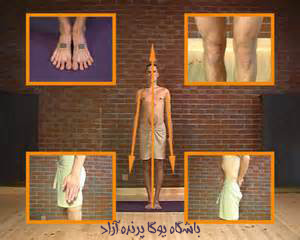 ,آساناهای یوگا,آموزش آساناها,,آموزش یوگا در کرج, کلاس یوگا در کرج, باشگاه یوگا در کرج, یوگا, یوگاکرج, یوگا کرج ,یوگا در کرج, یوگا عظیمیه, باشگاه یوگا, Yoga, یوگا برای بانوان, یوگا البرز,yoga,  مدیتیشن, یوگا استان البرز, یوگای بانوان کرج, یوگاالبرز, باشگاه یوگا, یوگا در البرز, باشگاه برتر کرج, باشگاه برگزیده البرز,باشگاه نمونهYOGA, Asana,آموزش تادآسانا, سیمین صدیق ابراهیم نیا, Tadasana, samasthiti, وضعیت کوه, کاهش درد سیاتیک, ایجاد هوشیاری و تمرکز ذهن, ایجاد تعادل در دو نیمکره مغز, محور یا خط هارا, سوشومنا نادی, اختلال گودی کمر یا هیپرلوردوزیس (hyperlodosis)
