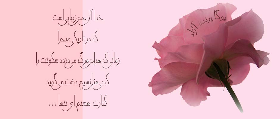 یوگا ، مدیتیشن ، تمرینات تنفسی ، آرامش ، آگاهس ، حس خداوند ، خضور ، کانون یوگا ، آکادمی تخصصی یوگا پرنده آزاد 