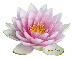 یوگا استان البرز+ باشگاه پرنده آزاد مکانی تخصصی برای یوگا+PARANDEAZADYOGA یوگا استان البرز+ باشگاه پرنده آزاد مکانی تخصصی برای یوگا+PARANDEAZADYOGA