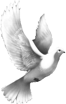 ,یوگا, صلح جهانی, یوگاکرج, یوگا کرج ,یوگا در کرج, یوگا عظیمیه, کرج کلاس یوگا, باشگاه یوگا, Yoga, International Yoga, یوگا برای بانوان, باشگاه یوگا پرنده آزاد, یوگا البرز,yoga, meditation, مدیتیشن, یوگا استان البرز, یوگای بانوان کرج, یوگاالبرز, باشگاه یوگا, باشگاه یوگا بانوان, یوگا عظیمیه, یوگا جهانشهر, یوگا مهرشهر, یوگا گوهردشت, یوگای خوب, یوگا در البرز, باشگاه برتر کرج, باشگاه برگزیده البرز,باشگاه نمونه, مربی نمونه کشور, سیمین صدیق, پرنده آزاد یوگا, ,یوگا, صلح جهانی, یوگاکرج, یوگا کرج ,یوگا در کرج, یوگا عظیمیه, کرج کلاس یوگا, باشگاه یوگا, Yoga, International Yoga, یوگا برای بانوان, باشگاه یوگا پرنده آزاد, یوگا البرز,yoga, meditation, مدیتیشن, یوگا استان البرز, یوگای بانوان کرج, یوگاالبرز, باشگاه یوگا, باشگاه یوگا بانوان, یوگا عظیمیه, یوگا جهانشهر, یوگا مهرشهر, یوگا گوهردشت, یوگای خوب, یوگا در البرز, باشگاه برتر کرج, باشگاه برگزیده البرز,باشگاه نمونه, مربی نمونه کشور, سیمین صدیق, پرنده آزاد یوگا,