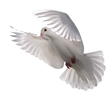 خانه یوگا, یوگا کرج, یوگا البرز, یوگاکرج, پرنده آزاد یوگا, کلاس یوگا, مرکز تخصصی یوگا, yoga, meditation, یوگا در کرج, آرامش با یوگا, یوگا درمانی, تعادل در یوگا, کلاس یوگا, یوگا, آساناهای یوگا, یوگاکرج, یوگا کرج, یوگا عظیمیه, کرج, باشگاه یوگا, Yoga International, یوگا برای بانوان, باشگاه یوگا پرنده آزاد, یوگای خوب, مدیتیشن, یوگا استان البرز, یوگا البرز, یوگاالبرز, باشگاه یوگا, مرکز یوگا بانوان, یوگا عظیمیه, یوگاگوهردشت, باشگاه برتر البرز, یوگای برگزیده البرز, باشگاه برتر کرج, باشگاه برگزیده البرز, Asana