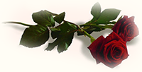 آکادمی یوگا پرنده آزاد کرج+ سکوت