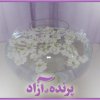 parandeazad9
