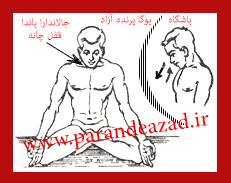تنفس اوجائي, تفس تکبری,,پرانایاما,تمرینات تنفسی یوگا,پرنده آزاد یوگا ,یوگا, باشگاه یوگا, چاکرادرمانی,آموزش یوگا در کرج,کلاس یوگا در کرج, باشگاه یوگا در کرج,یوگاکرج, یوگا کرج,یوگا عظیمیه,مدیتیشن,مراقبه, یوگا برای بانوان, یوگا البرز, یوگا استان البرز,یوگاالبرز,یوگای خوب,باشگاه برتر کرج, باشگاه برگزیده البرز,یوگای تخصصی,