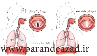 تنفس اوجائي, تفس تکبری,,پرانایاما,تمرینات تنفسی یوگا,پرنده آزاد یوگا ,یوگا, باشگاه یوگا, چاکرادرمانی,آموزش یوگا در کرج,کلاس یوگا در کرج, باشگاه یوگا در کرج,یوگاکرج, یوگا کرج,یوگا عظیمیه,مدیتیشن,مراقبه, یوگا برای بانوان, یوگا البرز, یوگا استان البرز,یوگاالبرز,یوگای خوب,باشگاه برتر کرج, باشگاه برگزیده البرز,یوگای تخصصی,