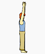 ,Chair Pose I,Utkatasana I,وضعیت صندلی 1,باشگاه علمی تخصصی یوگا پرنده آزاد کرج,