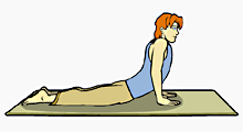 ,Cobra Pose,Bhujangasana, بهوجانگ آسانا,وضعیت مار کبری,باشگاه علمی تخصصی یوگا پرنده آزاد کرج, 