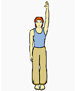 ,Standing Side Stretch Pose,تیریاکاتاداسانا,جنبش درخت خرما,باشگاه علمی تخصصی یوگا پرنده آزاد کرج,